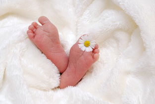 孕妇孕期感染淋球菌对胎儿有影响吗怎么用药治疗 孕妇孕期感染淋球菌对胎儿有影响吗怎么用药治疗